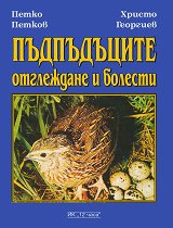 �����������: ���������� � ������� - �����