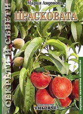 ����������. ������� � ������ - 