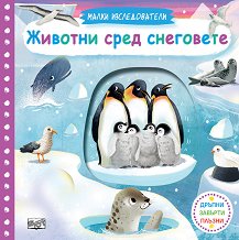 ����� �������������: ������� ���� ��������� - ������ �����
