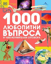 1000    1000   - 
