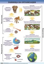 ������ ������ �����: ������� �� ����������� - 