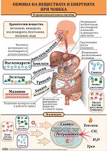 ������ ������ �����: ������ �� ���������� � ��������� ��� ������ - 