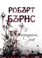 � ��������� ��� - �����