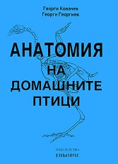 �������� �� ��������� ����� - �����