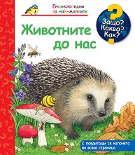 ������������ �� ���-�������: ��������� �� ��� - 