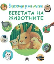 ������������ �� ���-�������: �������� �� ��������� - ������ �����