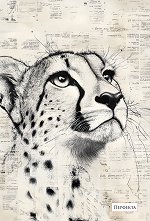 �������� � ������ ����������� - 