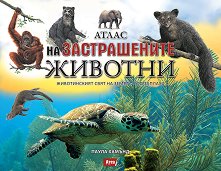����� �� ������������ ������� - ������ �����