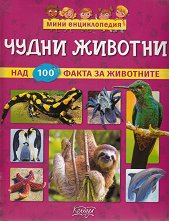 ���� ������������: ����� ������� - ������ �����