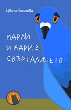 ����� � ���� � ������������ - ������ �����