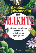 ������ ������������ �� ������� � �������� - �����