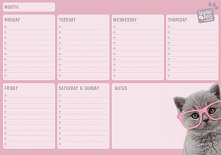     Cats - 