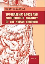 Topographic, Gross and Microscopic Anatomy of the Human Abdomen - �������
