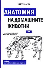     -  1:   - 