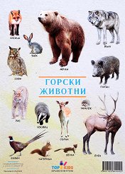 ����� ������ �����: ������ ������� - 