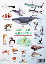 ����� ������ �����: ������ ������� - 