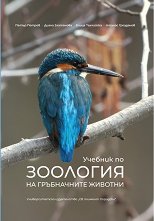 ������� �� �������� �� ����������� ������� - �����