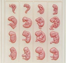 ����� ������ ������� �����: �������� �� ����� - 