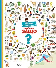 ����� ������������ �� ������� ���� - 