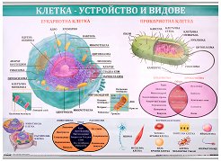 ������ ������ �����: ������ - ���������� � ������ - 