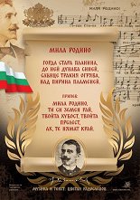 ������ ������ �����: ���� ������ - 