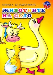 ������� � ��� - ��������� �� ���� - 