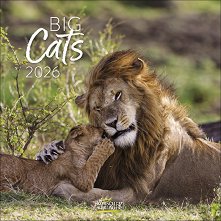   - Big Cats 2026 - 