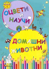������ � �����: ������� ������� - ������ �����