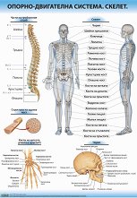 ������ ������ �����: ������-���������� �������. ������ - 