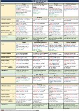 ������ ������ �����: The English Tenses - 