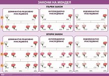 ������ ������ �����: ��������. ������ �� ������ - ���� 1 - 