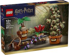 LEGO ���� ����� - �������� �� ���� �� ���������� � �������� - �����