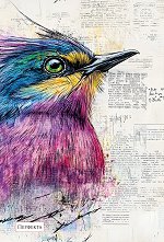 �������� � ������ ������ - 