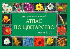 ����� �� ���������� - ���� 2 � 3 - �������