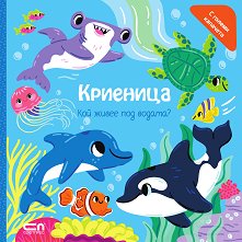 ��������: ��� ����� ��� ������? - 