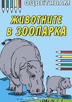 ���������: ��������� � �������� - ������ �����