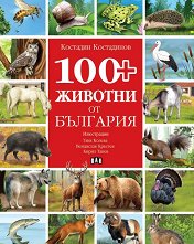 100+ ������� �� �������� - ������ �����