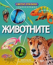 ������ �������: ��������� - 