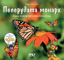 ���������� ������: ���� ������������ �������� - ������ �����