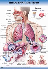 ������ ������ �����: ��������� ������� - 