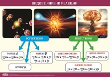 ������ ������ �����: ������ ������� - 