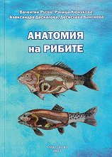 �������� �� ������ - �����