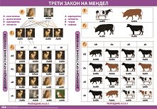 ������ ������ �����: ��������. ������ �� ������ - ���� 2 - 