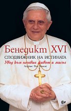  XVI    - 