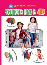 ��������� ���� � 4D - ������ � �������� �������� - 