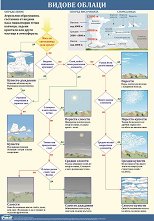 ������ ������ �����: ������ ������ - 