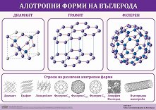 ������ ������ �����: ��������� ����� �� ��������� - 