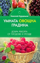 ������ ������ �������. ����� ������� �� ������� � ������ - 