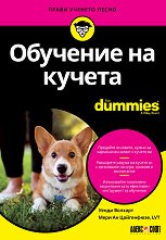    For Dummies - 