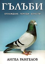 ������. ����������, ������, ������� - 